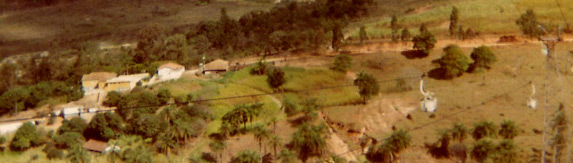 Bairro Arvoredo